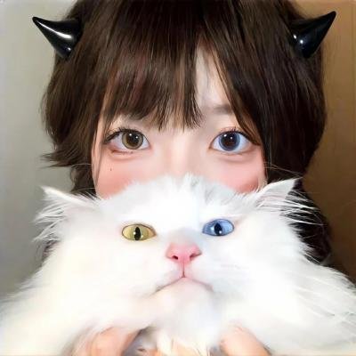 五香宫的猫